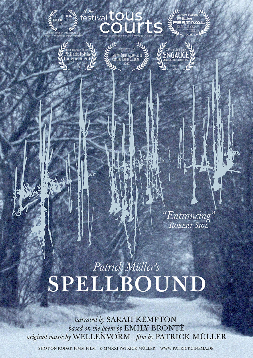 https://www.patrickcinema.de:443/files/gimgs/th-205_Spellbound Plakat2 by Patrick Mueller.jpg